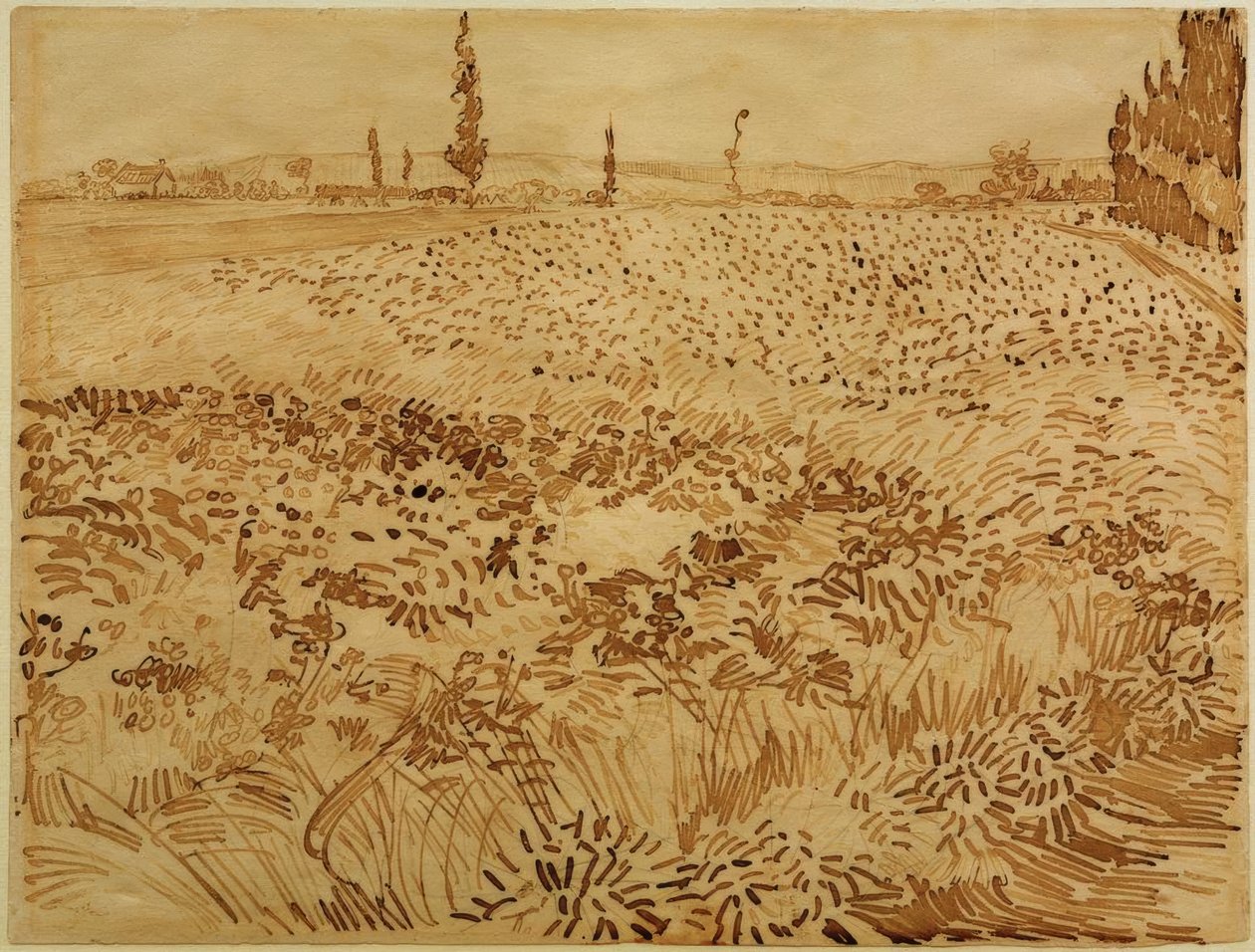 Hveteåker av Vincent van Gogh