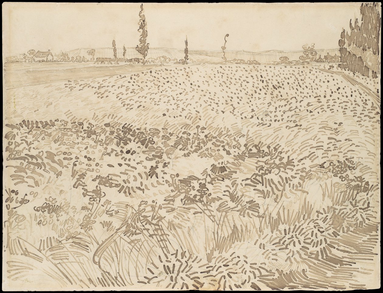 Hvetemark av Vincent van Gogh
