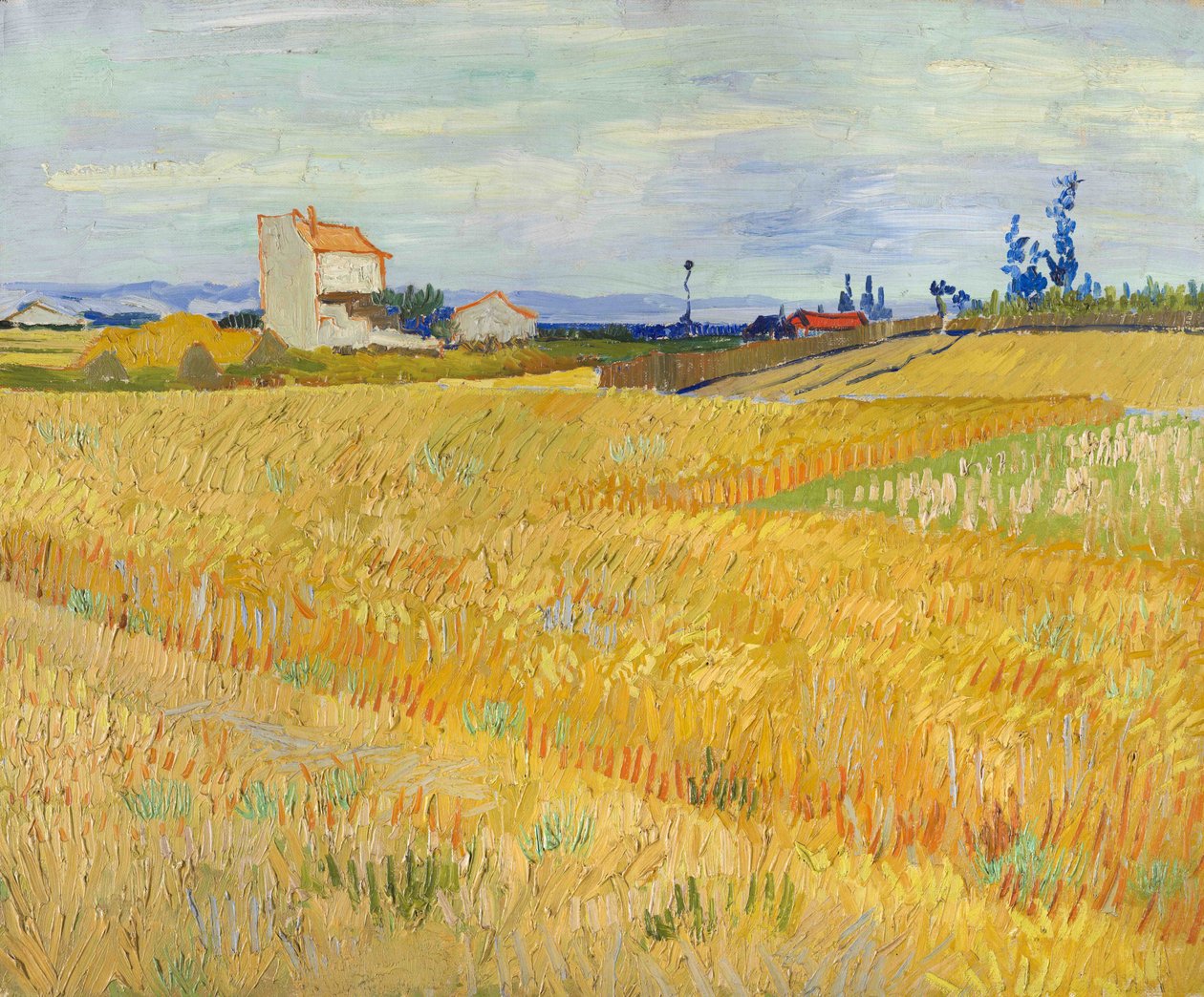 Hveteåker (Champs de blé) av Vincent van Gogh