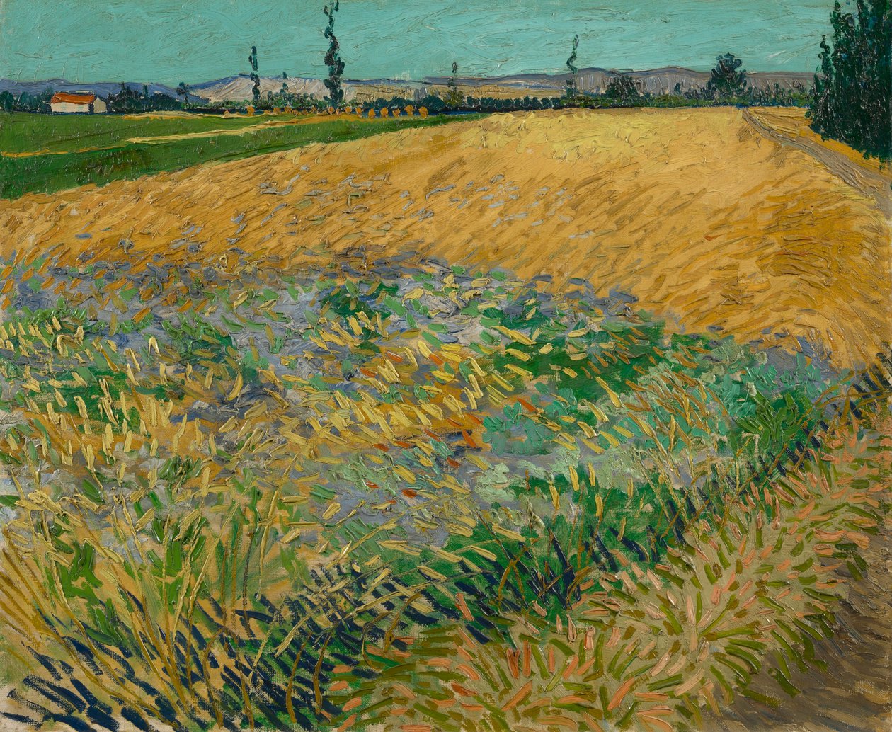  av Vincent van Gogh