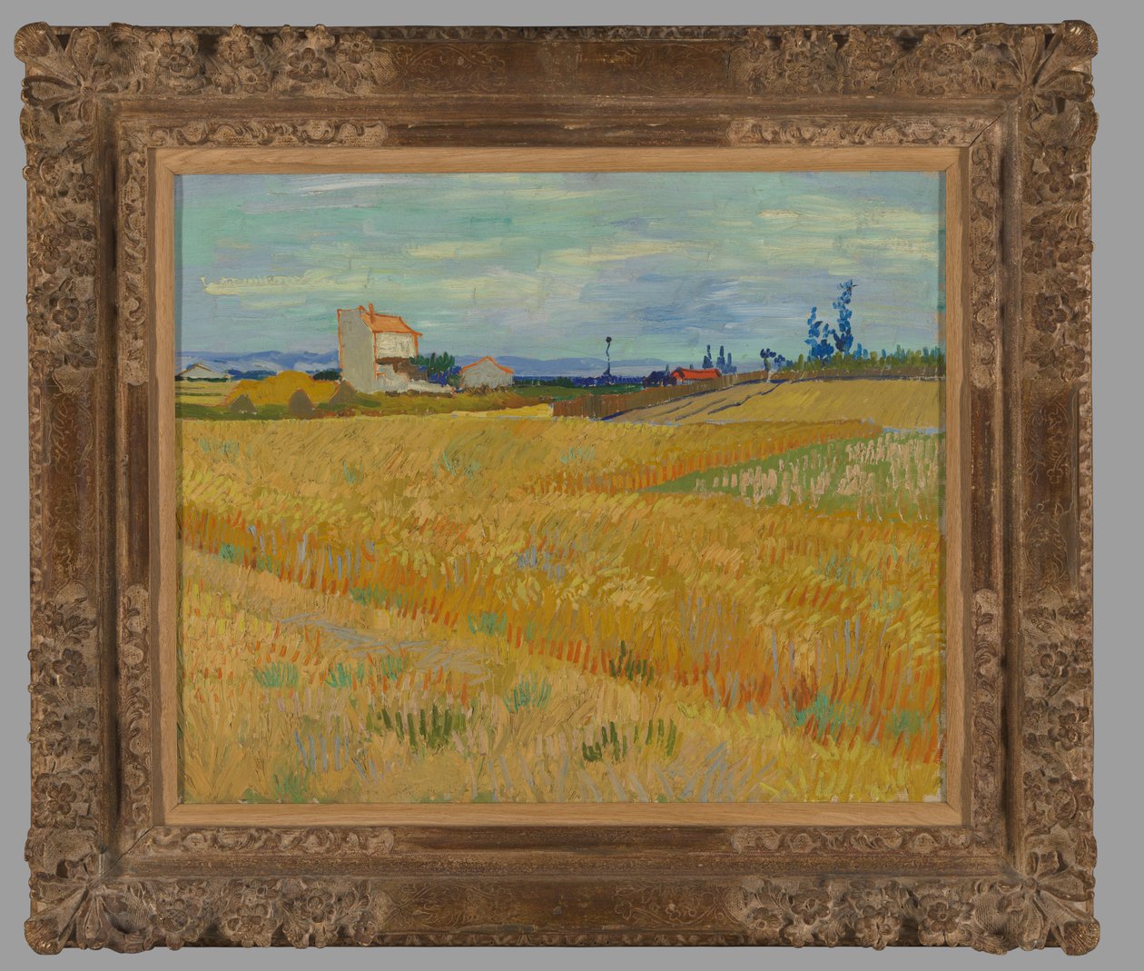 Hveteåker av Vincent van Gogh