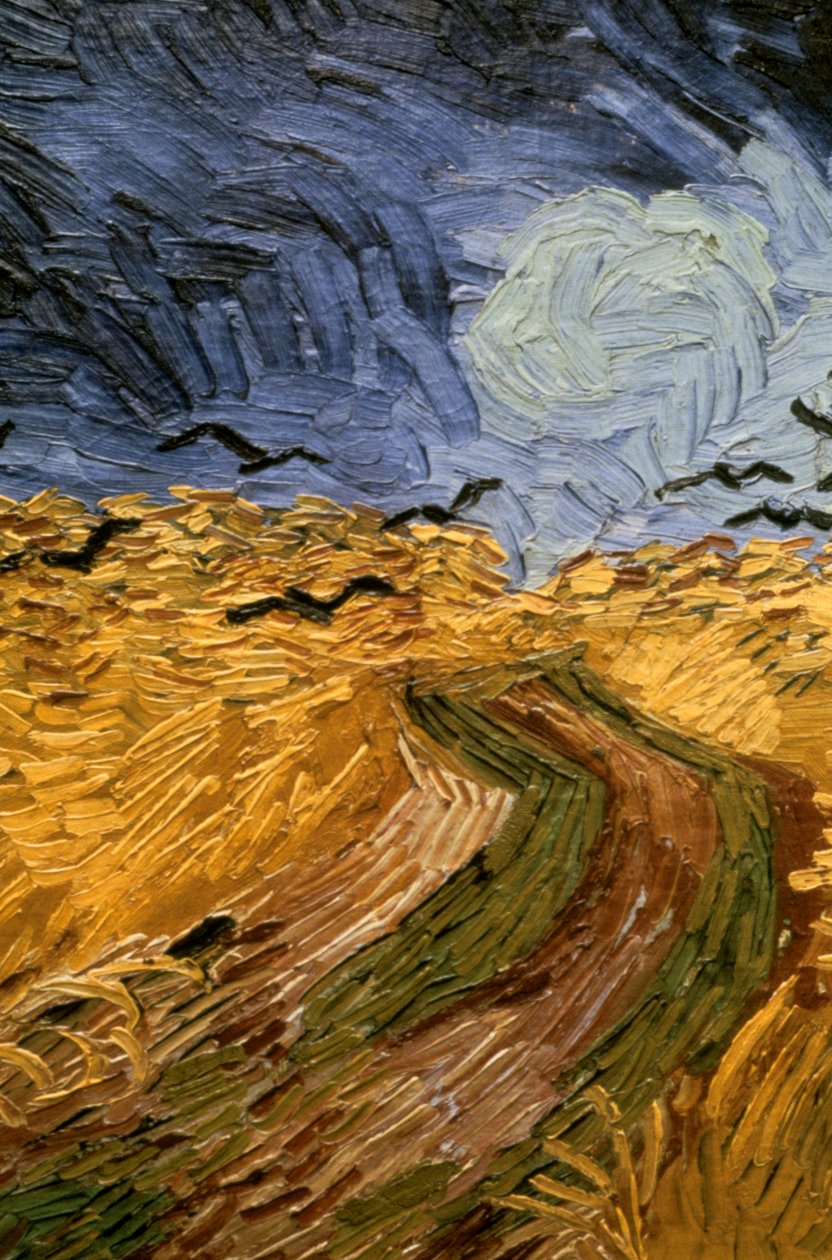 Hvetemark med kråker, detalj 1890. av Vincent van Gogh