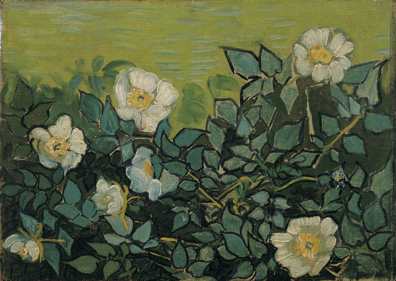 Villroser av Vincent van Gogh