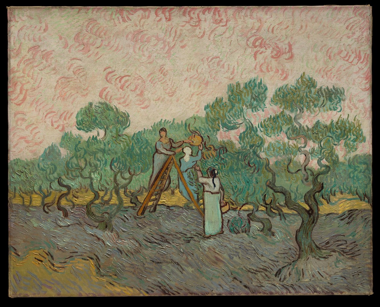 Kvinner som plukker oliven av Vincent van Gogh