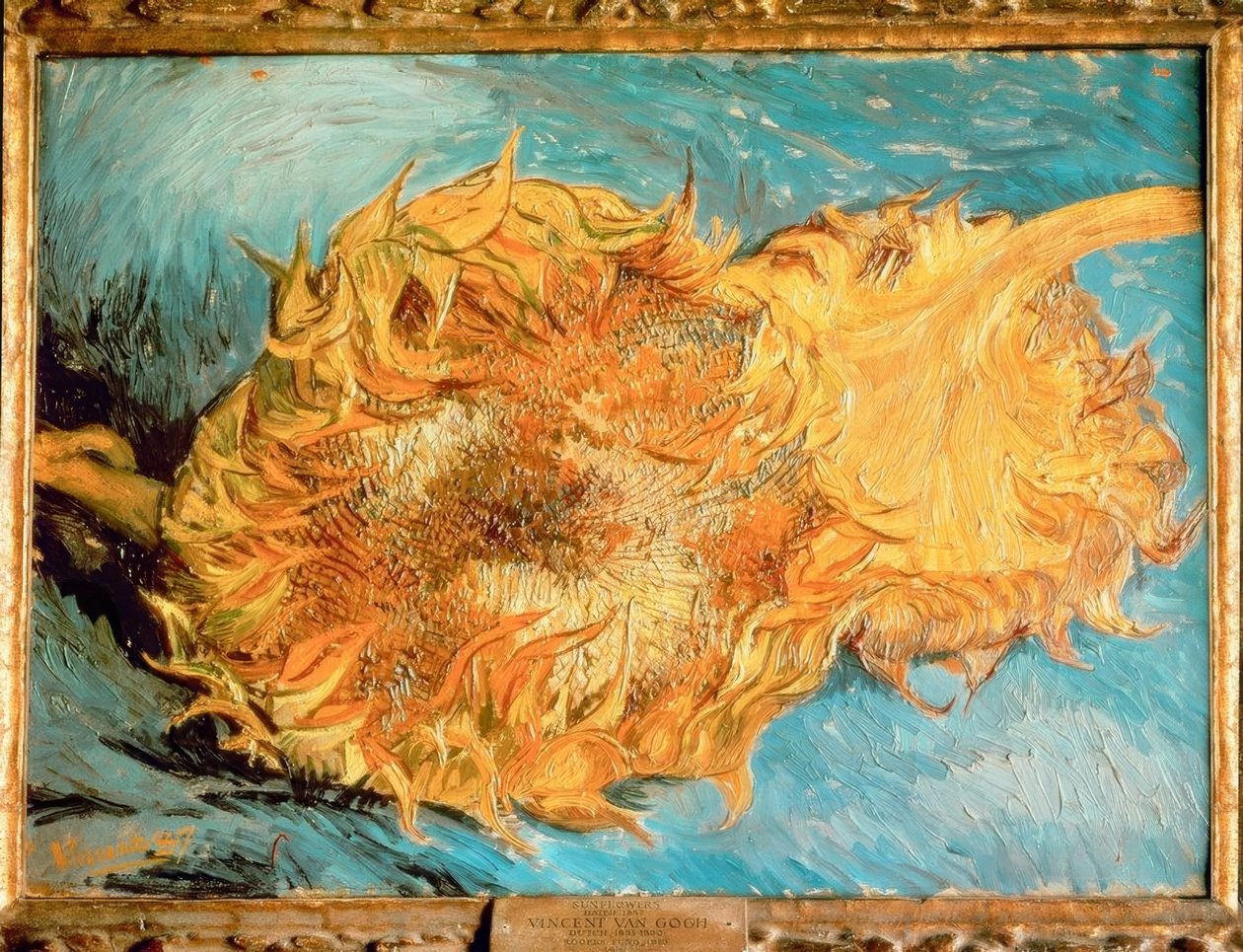 To kuttede solsikker av Vincent van Gogh