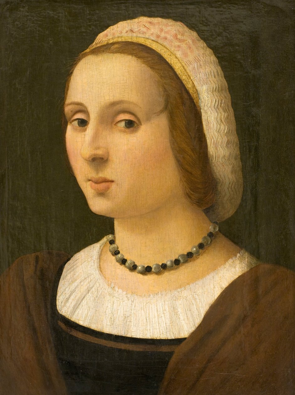 Portrett av en dame av Vincenzo Tamagni
