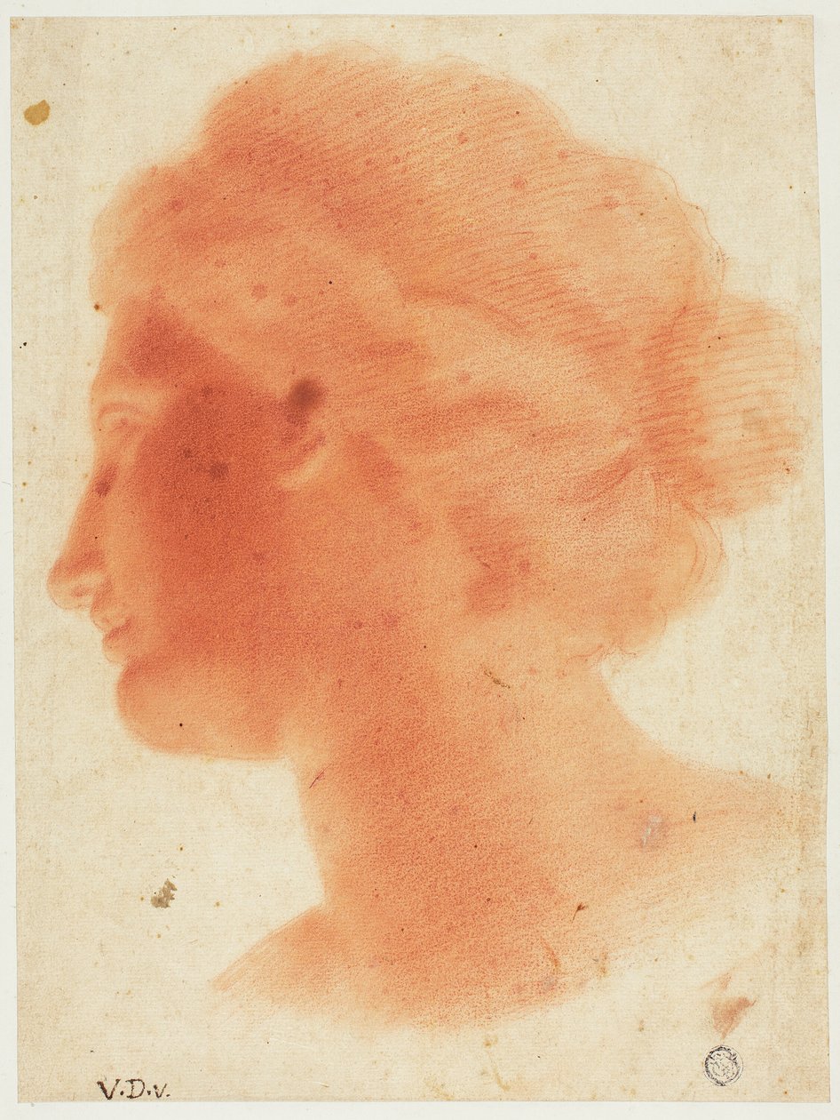  av Vincenzo Dandini
