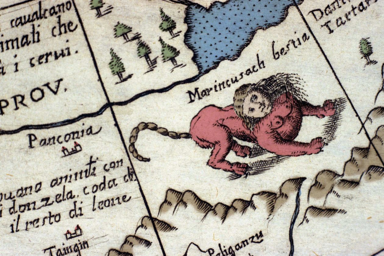 Representasjon av en manticore, en fantastisk skapning med et menneskehode (ofte med horn, blå øyne og tre rader med tenner), og en skorpion eller dragehale og en løvekropp. Detalj av et verdenskart av Vincenzo coronelli (1650-1718). 17. århundre av Vincenzo Maria Coronelli
