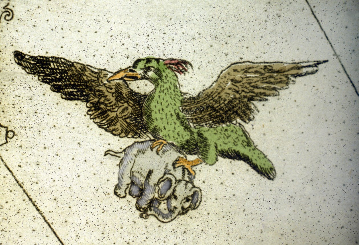 Den gigantiske fuglen Rok bærer en elefant mellom drivhusene for å gi den til ungene sine, detalj av et verdenskart av Vincenzo coronelli (1650-1718). 17. århundre av Vincenzo Maria Coronelli