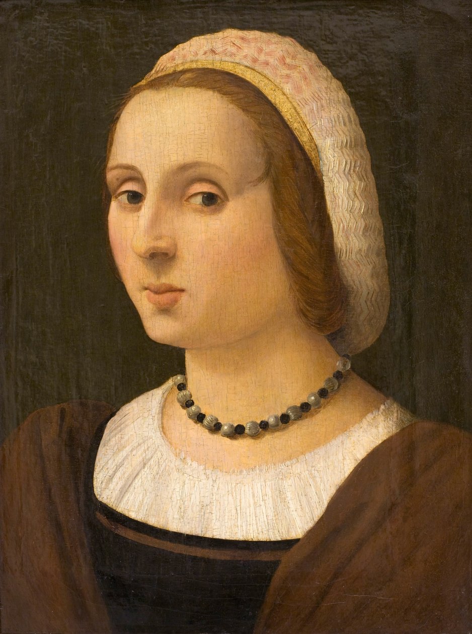 Portrett av en dame av Vincenzo Tamagni