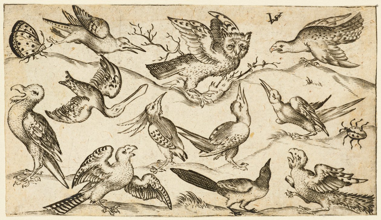Eleven birds and two insects on minimal ground with owl with wings outstretched..., 1572.     1157362   no       norwegian Successfully Translated  Original: Historiated initial depicting Elisha in the Mantle of Elijah, cutting from an antiphonary, c.1440  av Virgil Solis