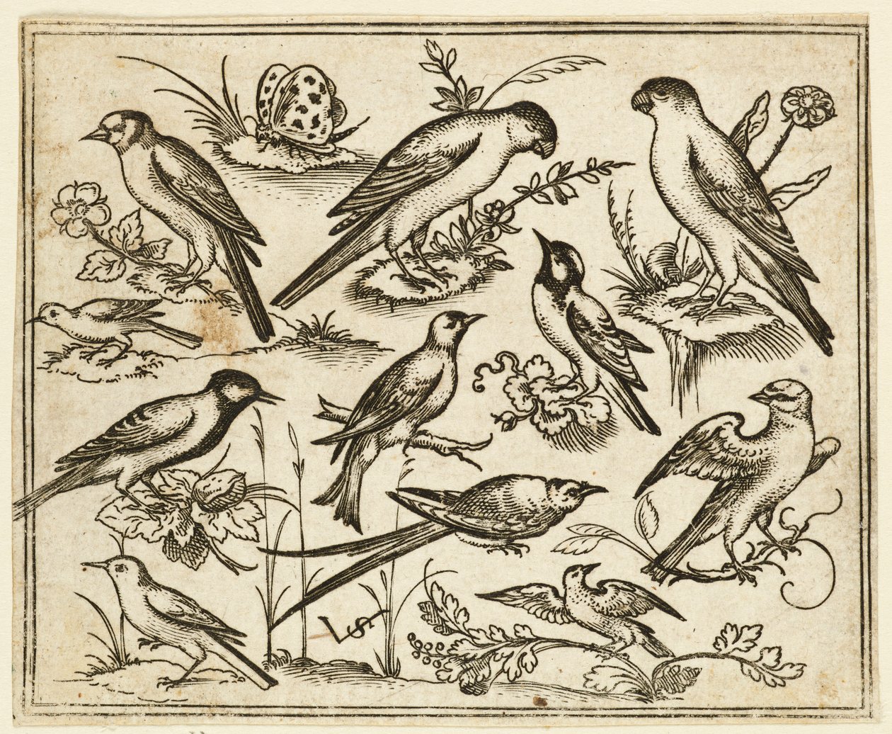 Elleve fugler som sitter på flekker med blomstrende løvverk og små grener..., 1557. av Virgil Solis