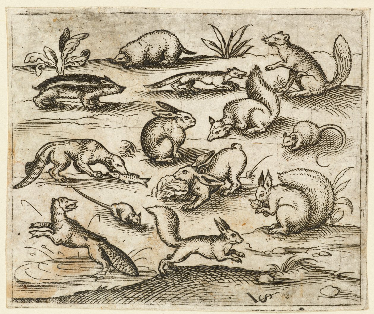 Gruppe av små skogsdyr som spiser og løper rundt en dam, inkludert en mus..., 1557. av Virgil Solis
