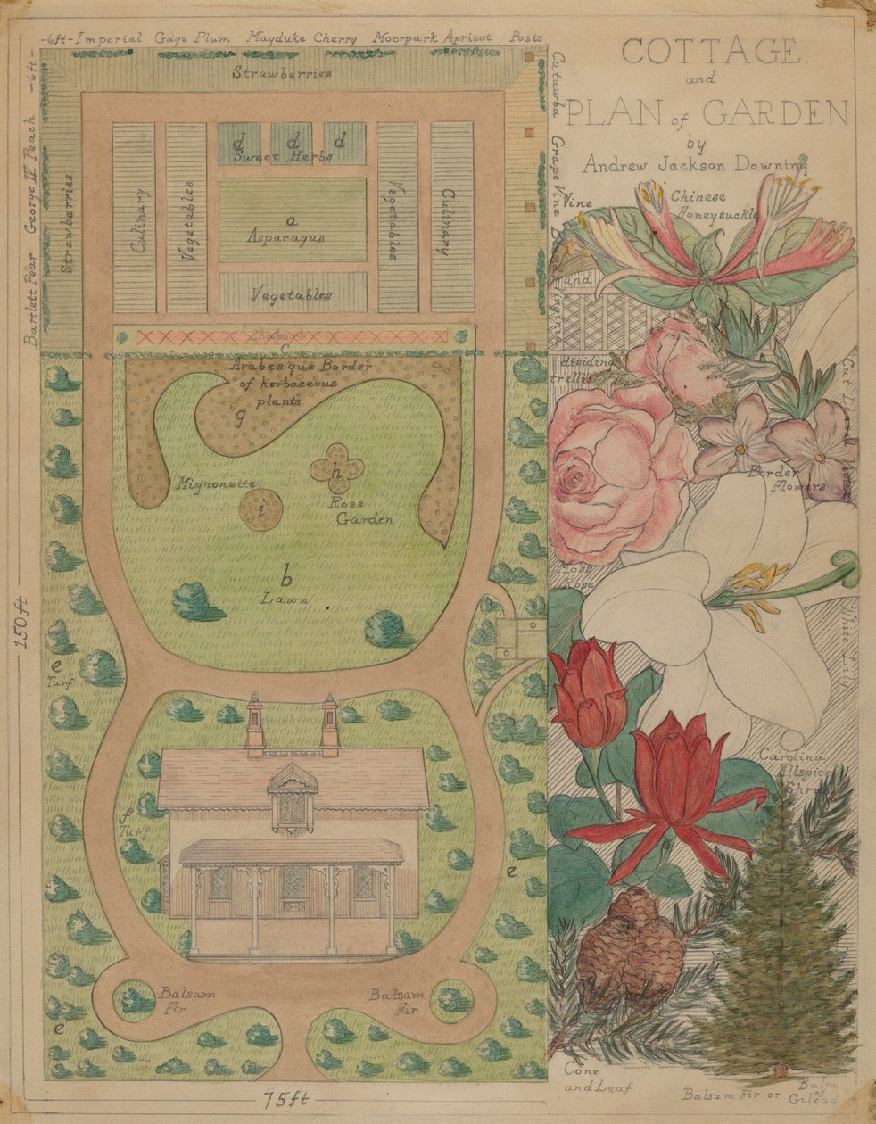 Grunnplan for hytte, ca. 1936. av Virginia Richards