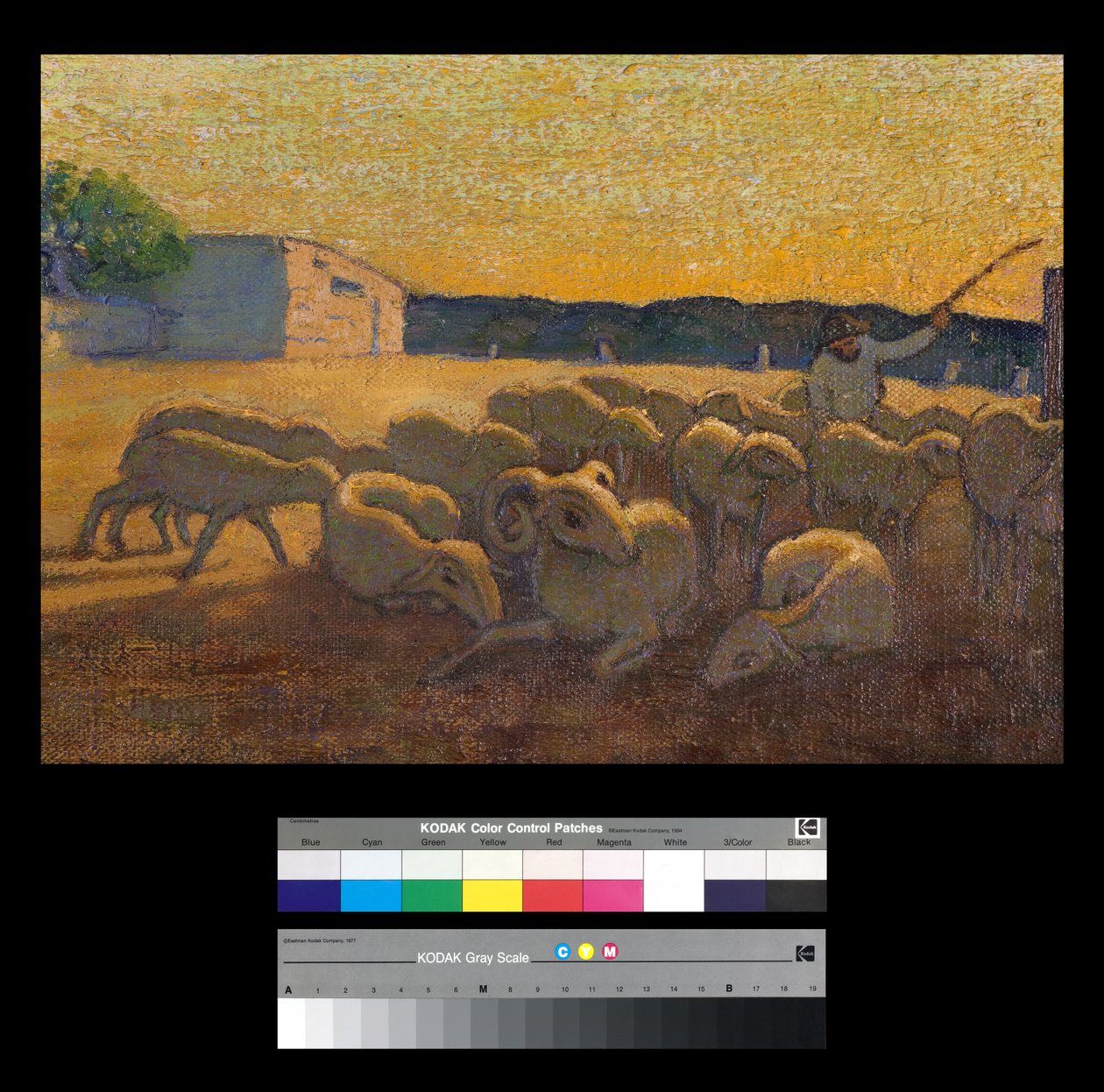 Solnedgang med sauer av Vittorio Bolaffio