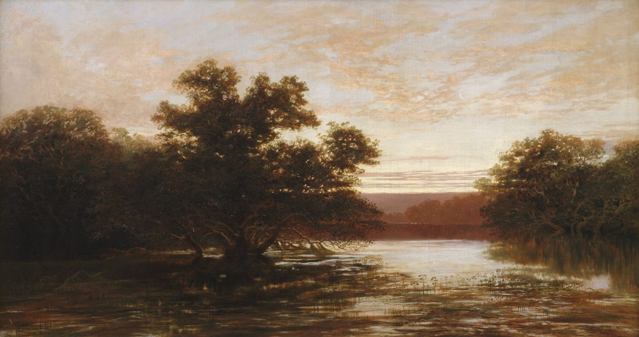 En australsk mangrove, ebbe av W.C. Piguenit
