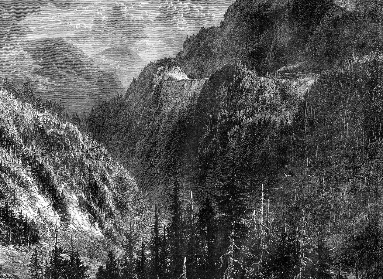 Schwarzwald, Tyskland, 1800-tallet av WHJ Pool