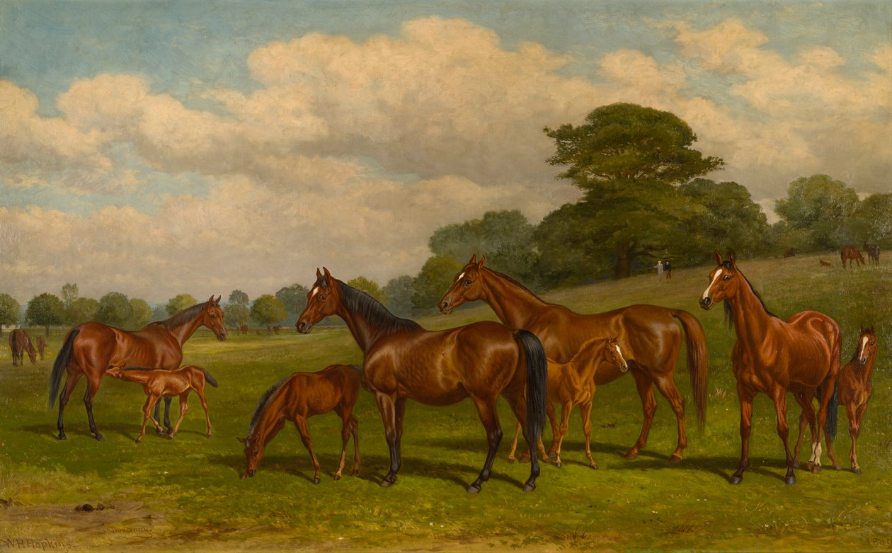 Hopper og føll, ca. 1892 (olje på lerret) av W.H. Hopkins