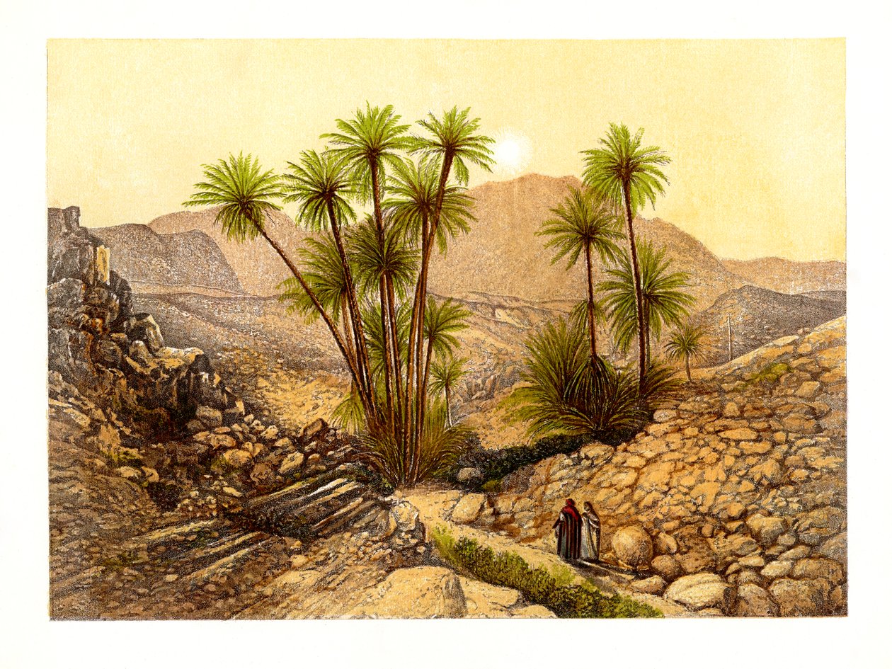 Sinai-ørkenen, Egypt, ca 1870. av W. Dickens
