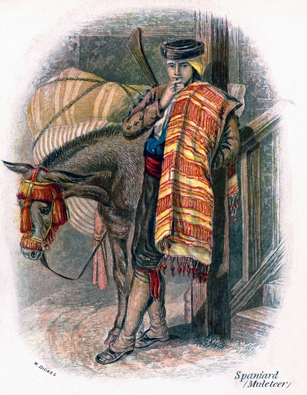 Spansk Muleteer, 1809. av W. Dickes