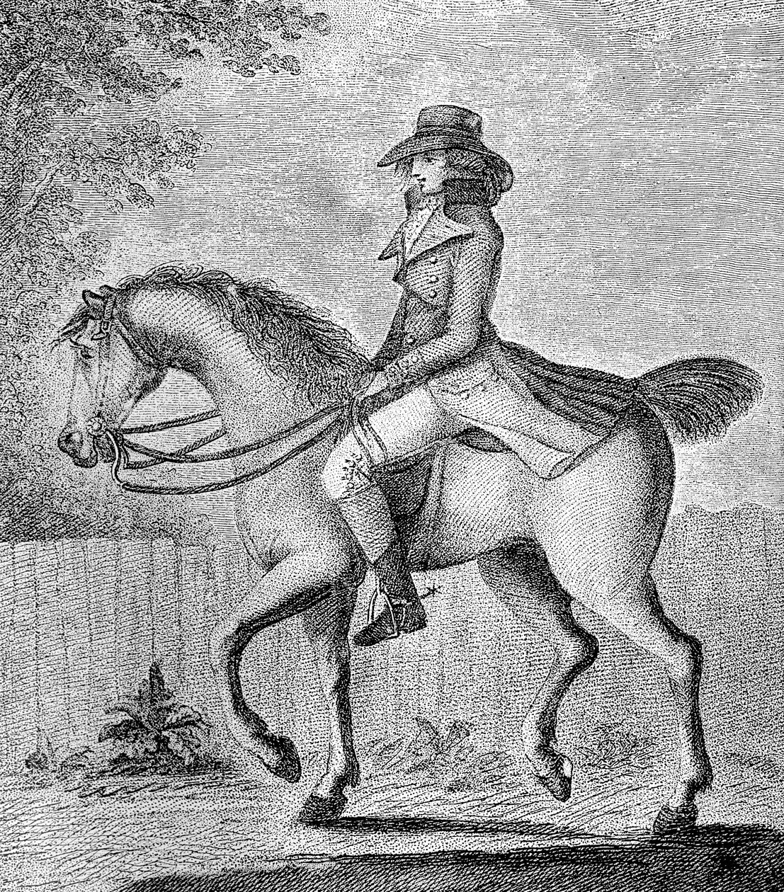 Den feilaktige oppfatningen, 1789. av W. Dickinson