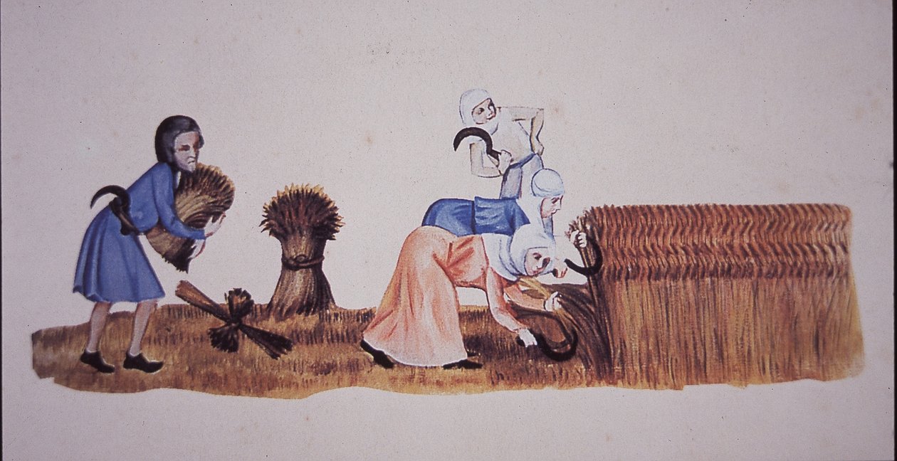 Middelalderkvinner som høster mais, etter en scene fra Luttrell Psalter (farge litho) av John Ward Dunsmore