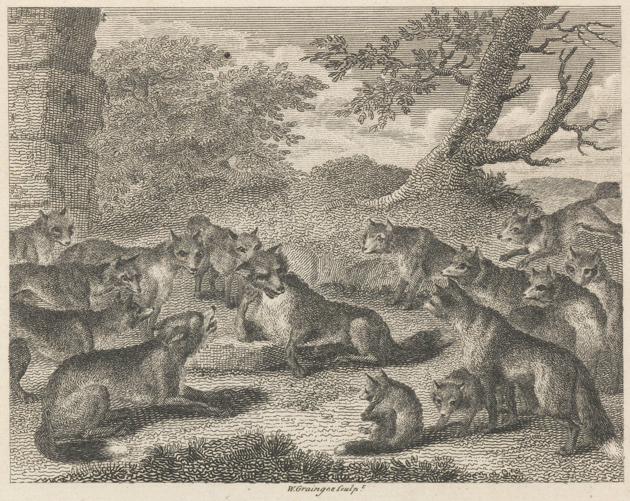 The Fox at the Point of Death av W. Grainger