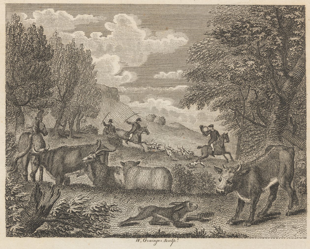 Haren og mange venner av W. Grainger
