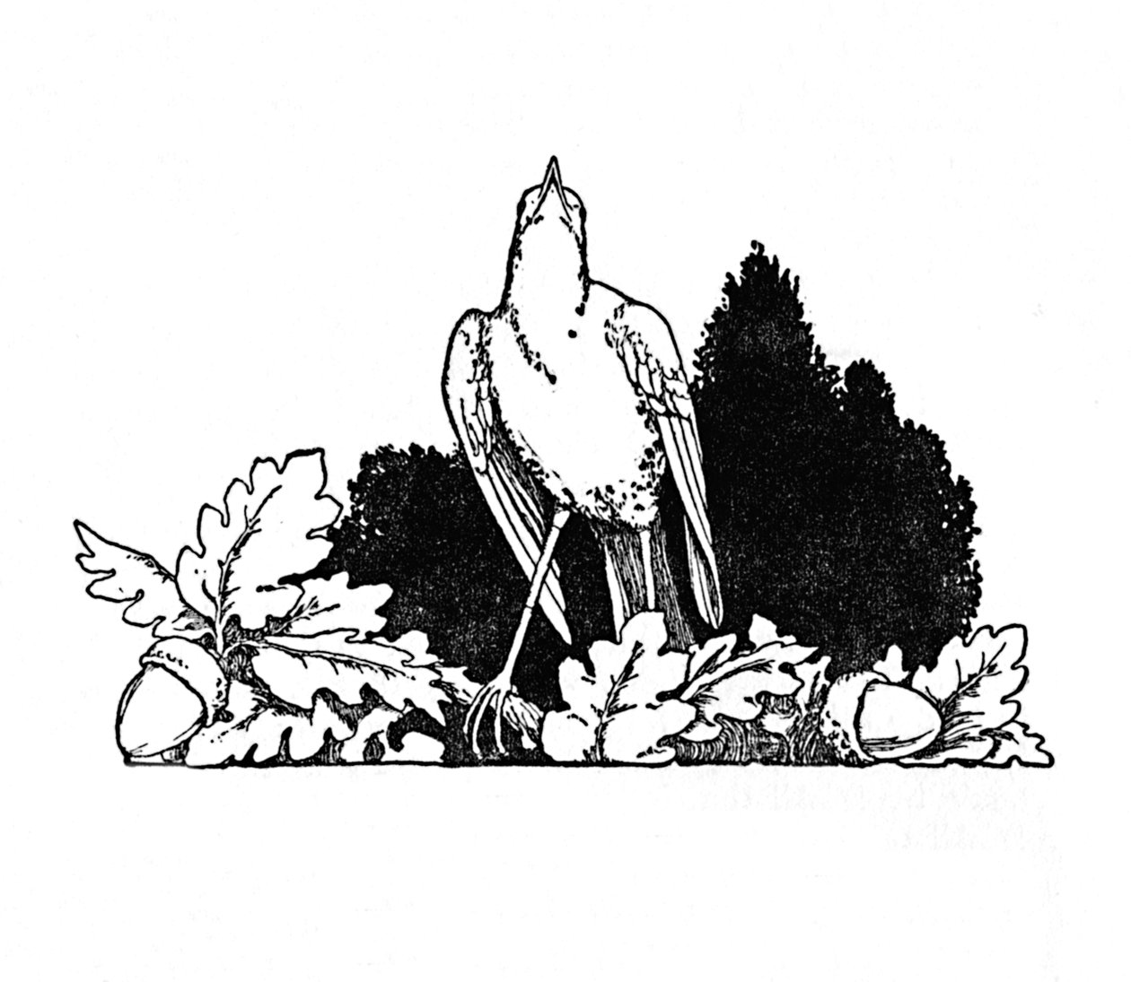 Among the Branches Dwelt a Nightingale, c1930 av William Heath Robinson