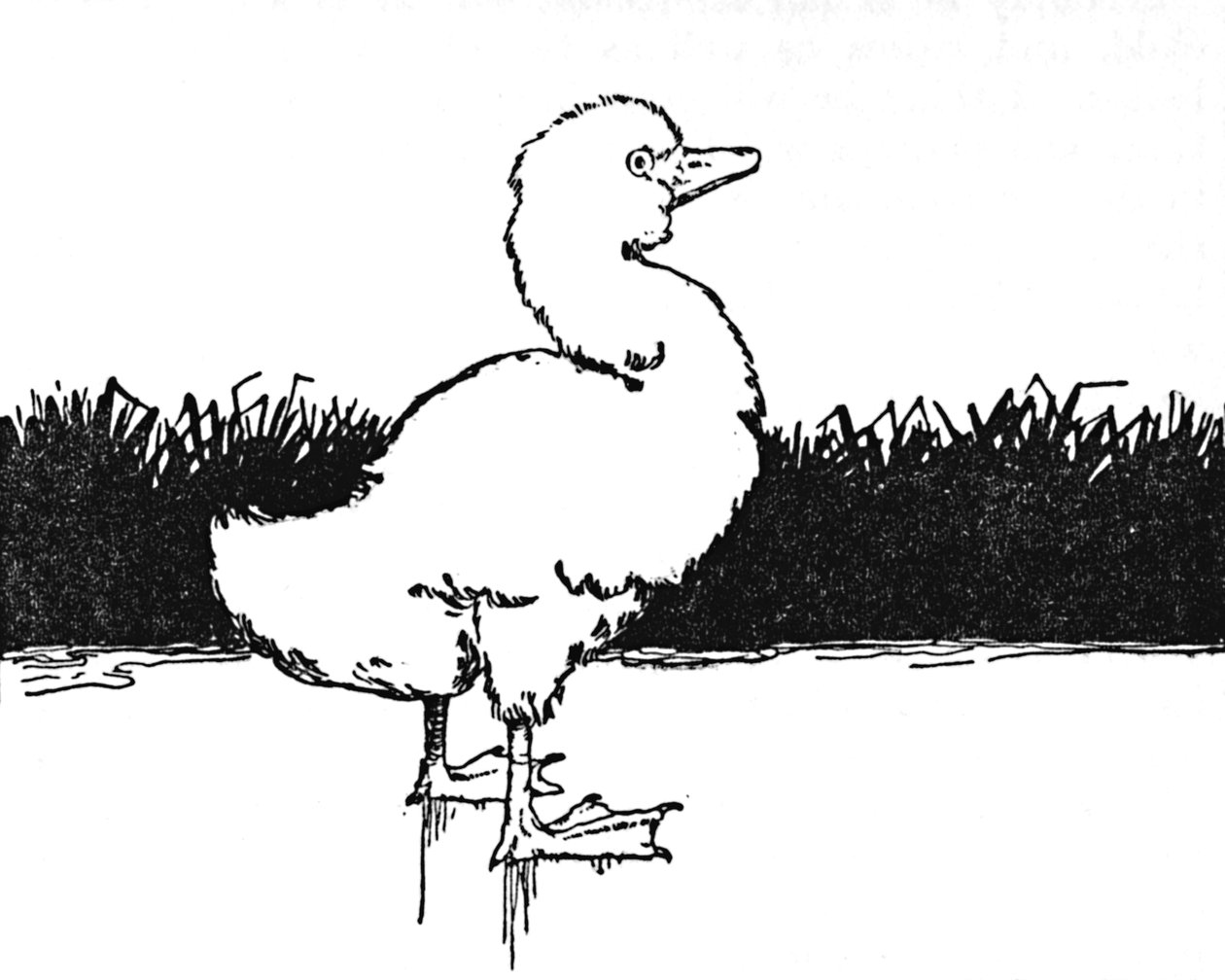 He Came to a Wide Moor, c1930 av William Heath Robinson