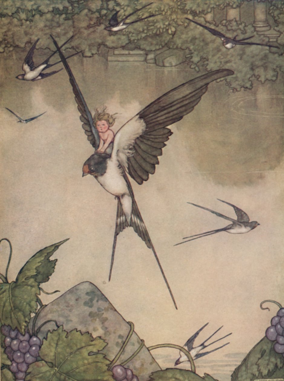 Ja, jeg vil gå med deg! Sa Tommelise, c1930 av William Heath Robinson