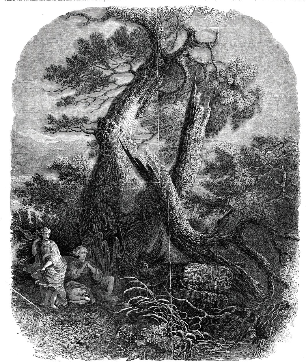 Eksemplar av tregravering, The Death of the Children of Niobe, ...1844. av W. J. Linton