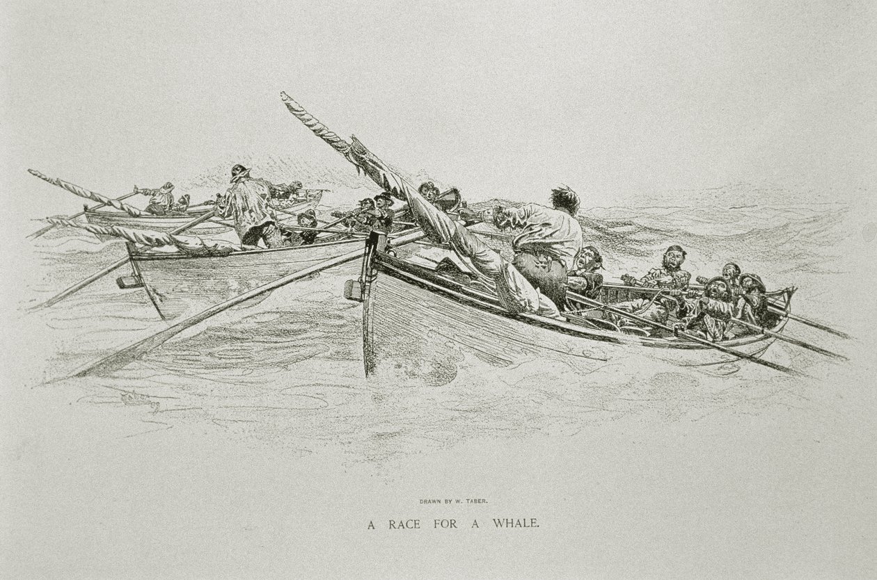 'A Race for a Whale', for 'The Perils and Romance of Whaling' i Century Magazine, juni 1890 (litho) av W. Taber