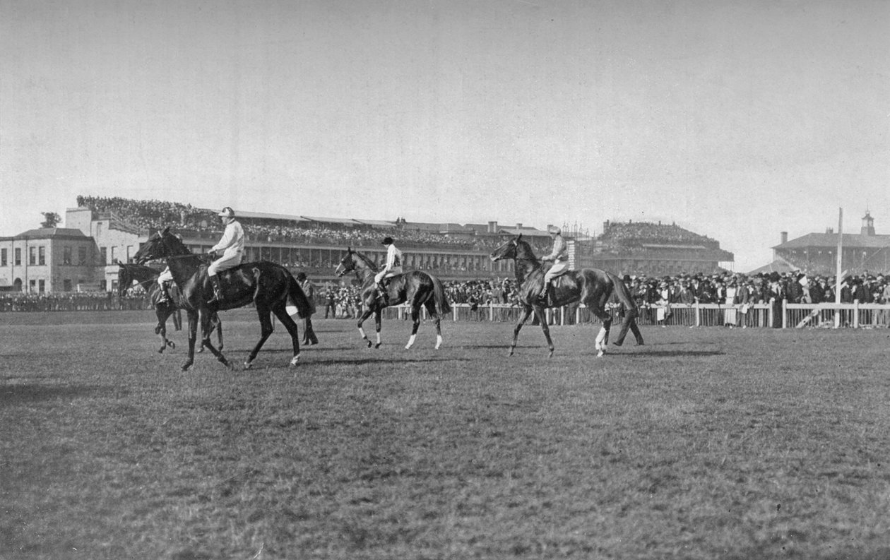 St. Leger-hester foran Doncaster-tribunen, c1901, 1903 av W. W. Rouch