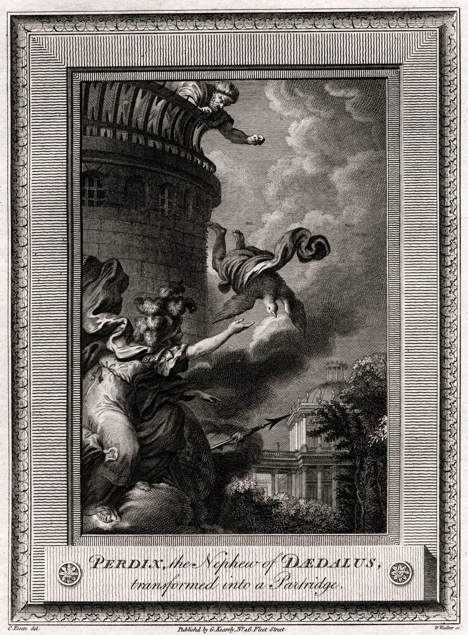 Perdix, nevøen til Daedalus, forvandlet til en rapphøne, 1774 av W. Walker