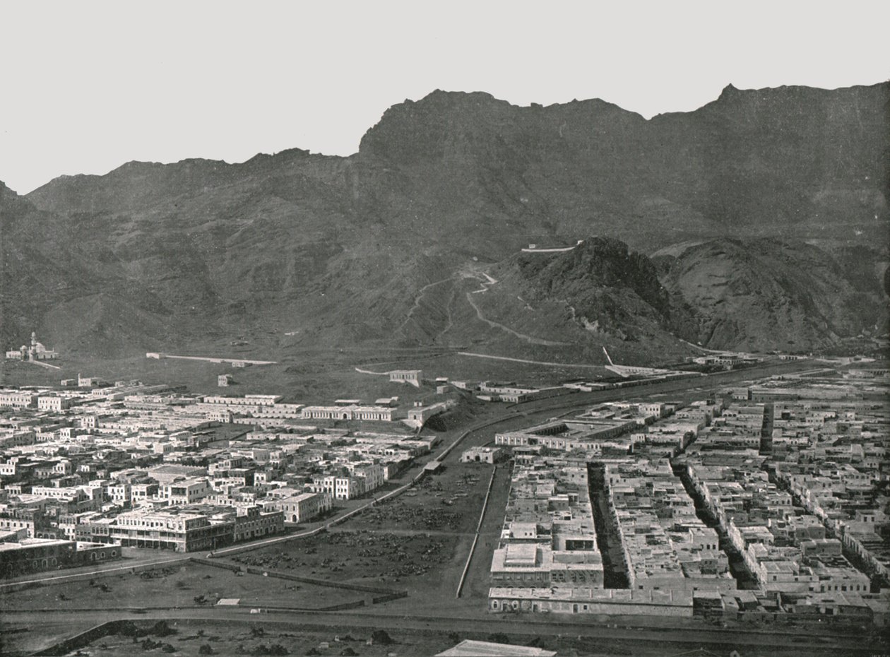 Generell visning som viser Camel Market, Aden, 1895. av W and S Ltd