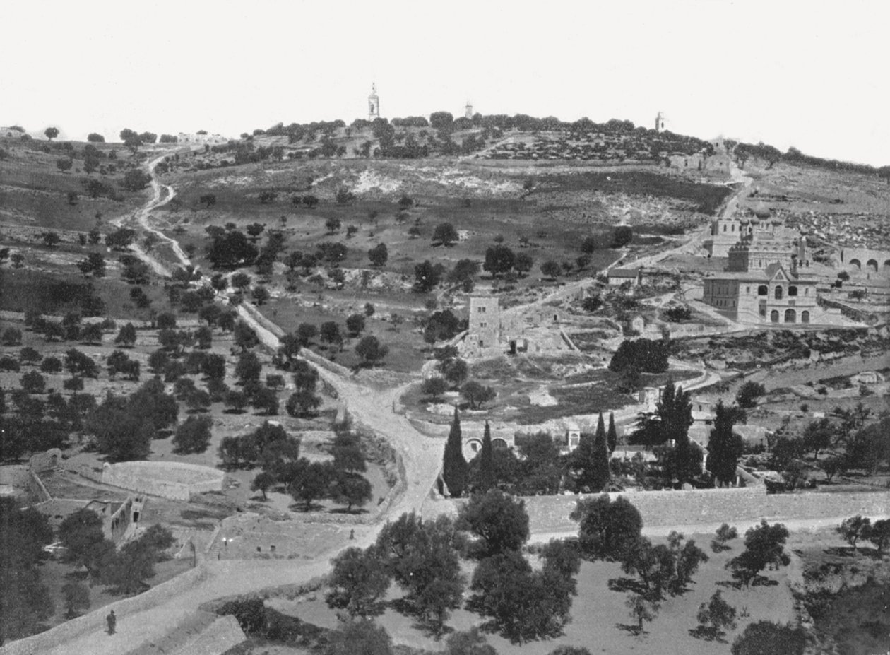 Oljeberget, Jerusalem, Palestina, 1895. av W and S Ltd