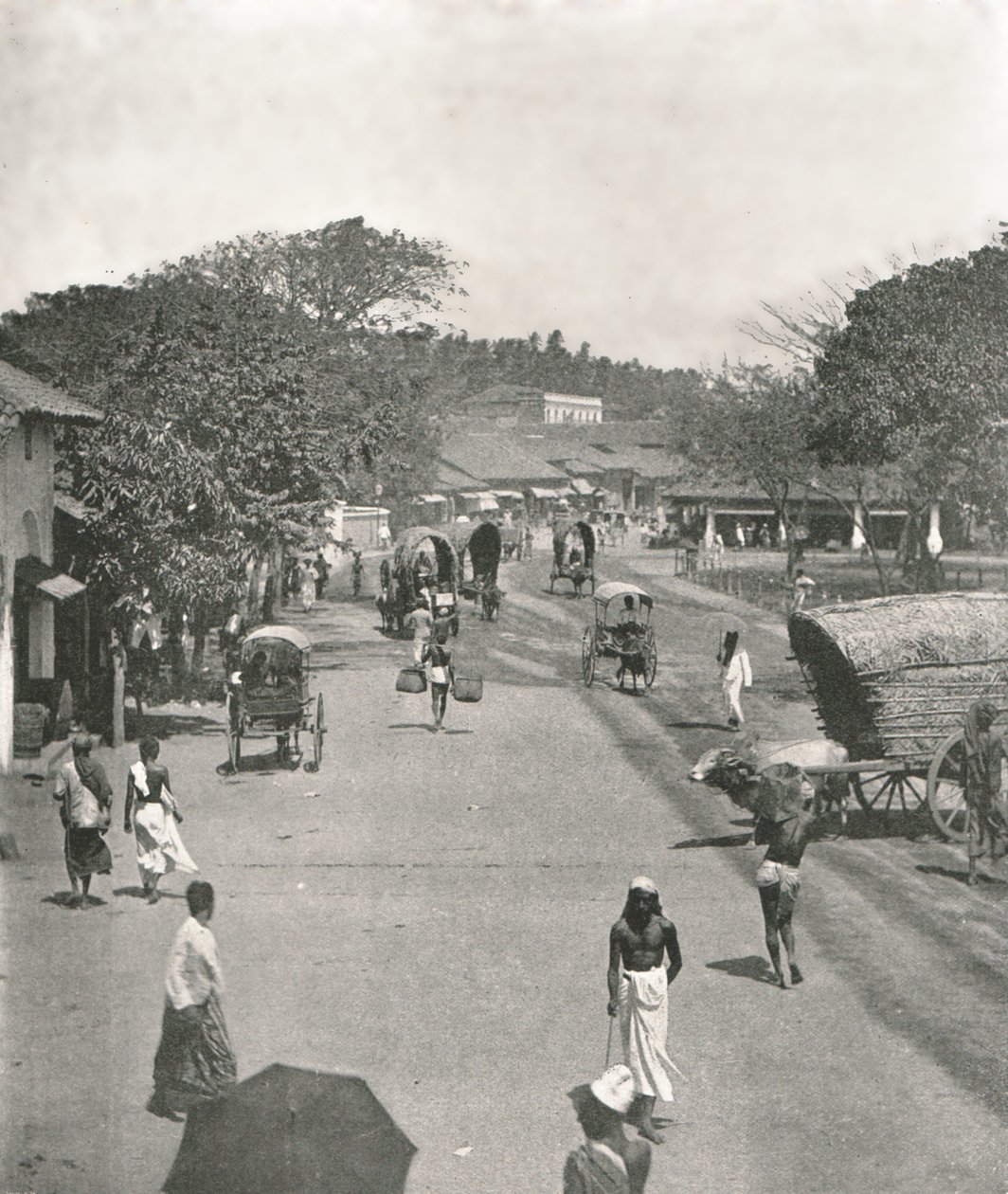 Gatebilde nær rådhuset, Colombo, Ceylon, 1895. av W and S Ltd