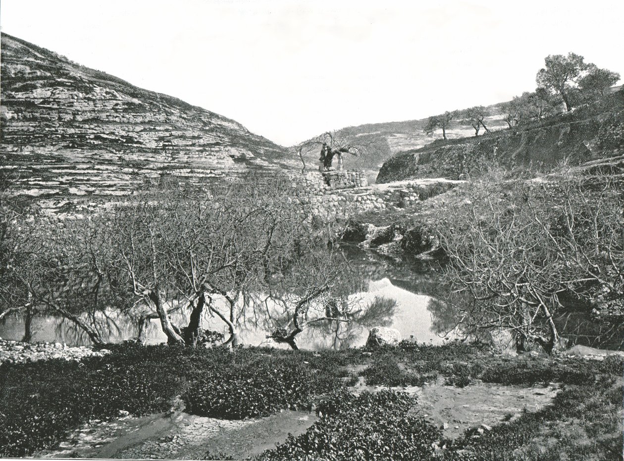 The Pool of Siloam, Jerusalem, Palestina, 1895. av W and S Ltd
