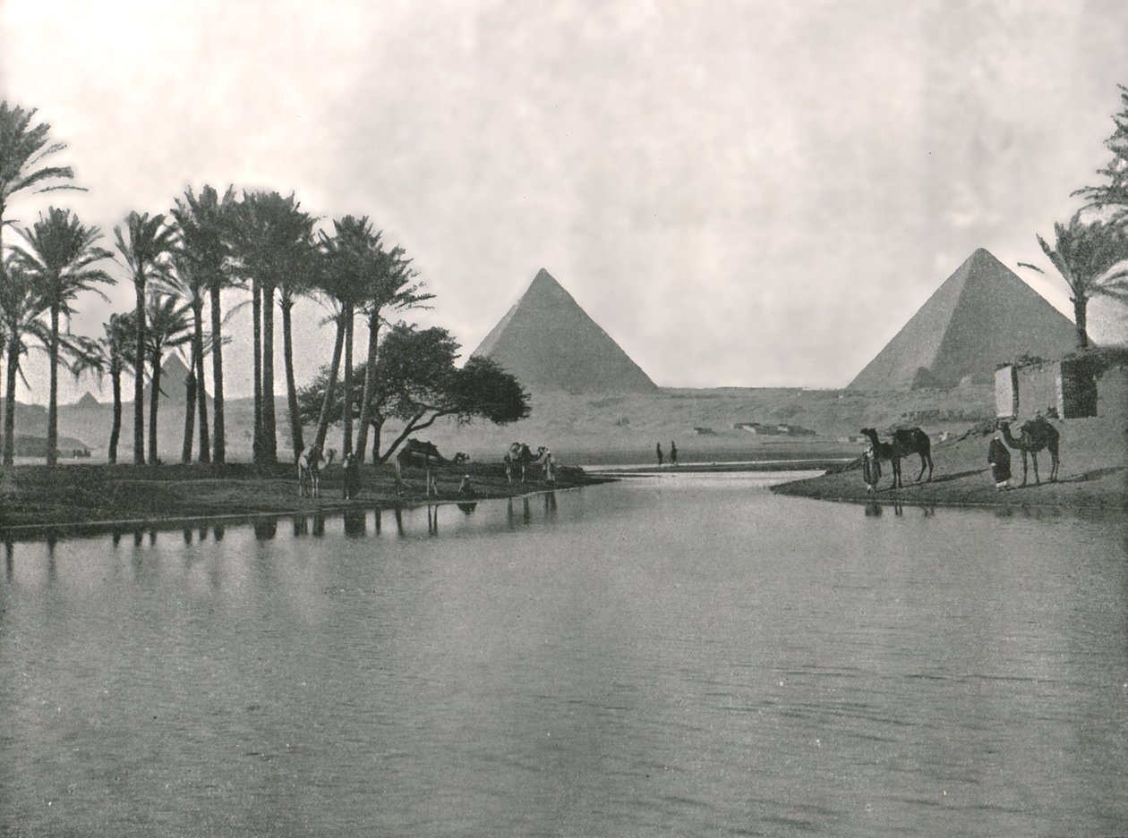 Pyramidene og Nilen, Gizeh, Egypt, 1895. av W and S Ltd