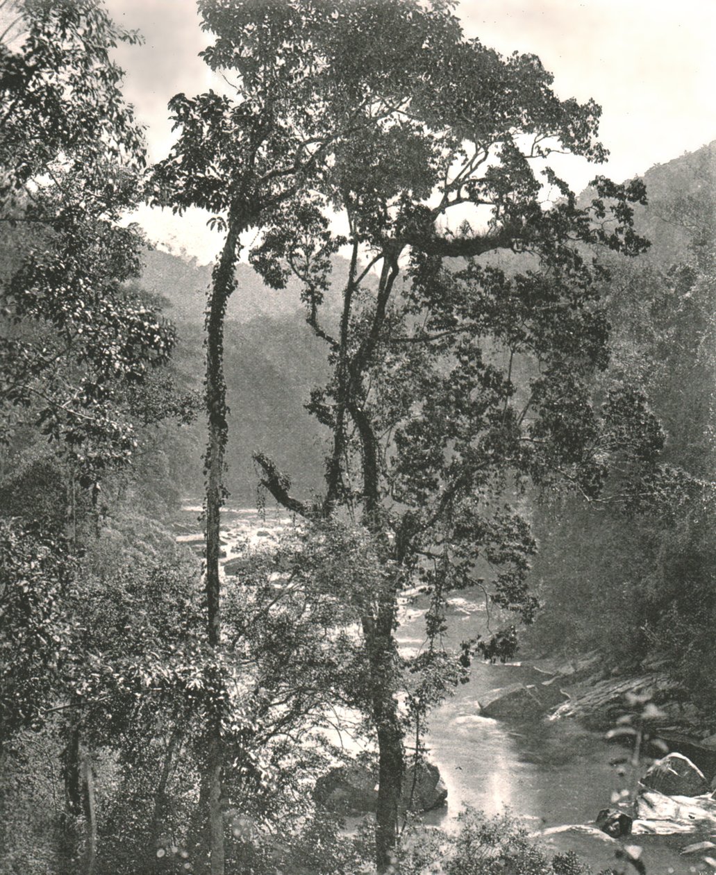 Utsikt over Kelani-elven, Kurunegala, Ceylon, 1895. av W and S Ltd