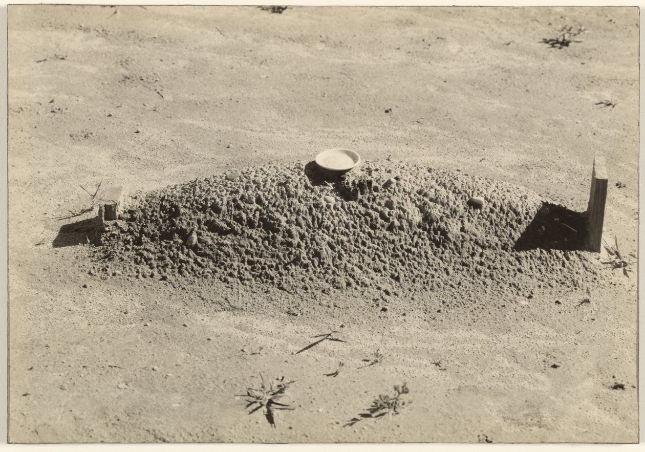  av Walker Evans