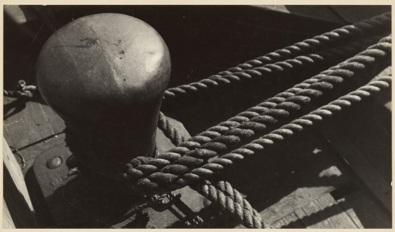  av Walker Evans