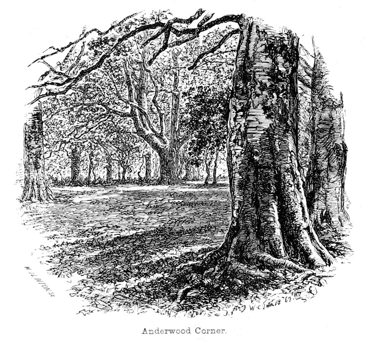Anderwood Corner av Walter Crane