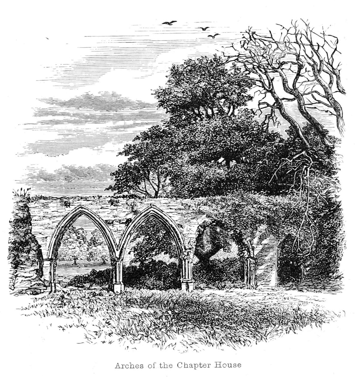 Buer av Chapter House av Walter Crane