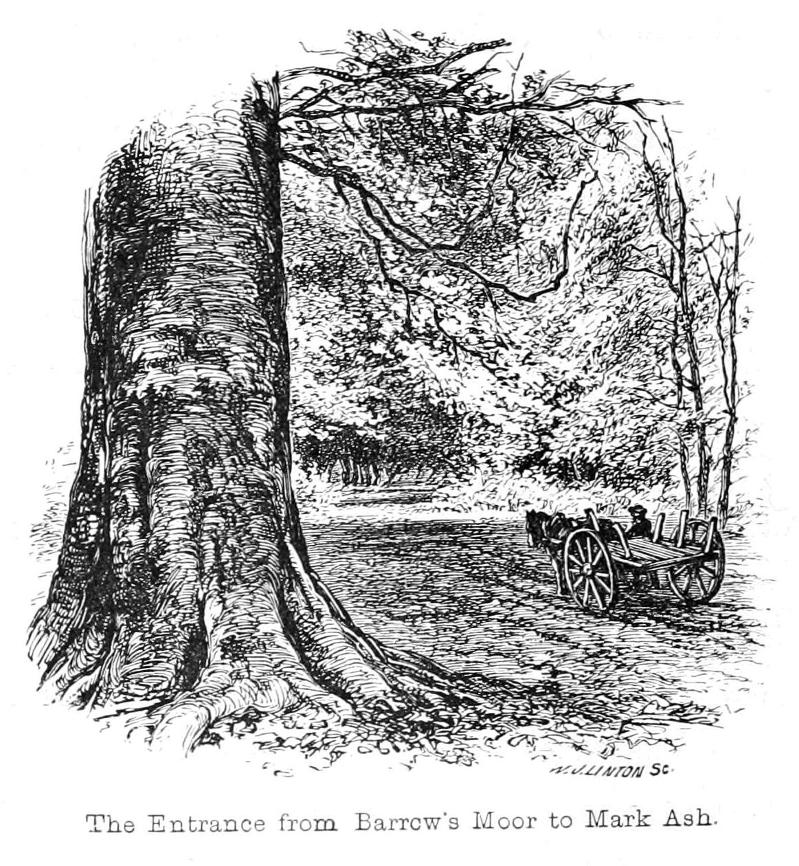 Inngangen fra Barrows Moor til Mark Ash av Walter Crane
