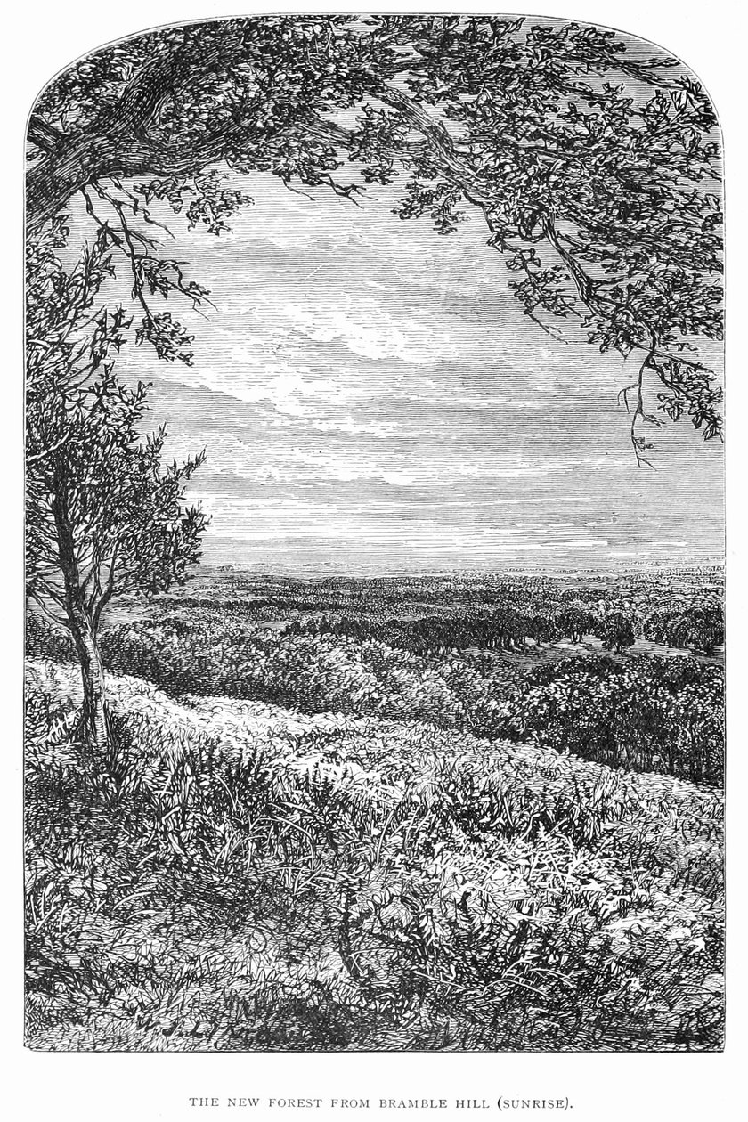 New Forest sin historie og natur av Walter Crane