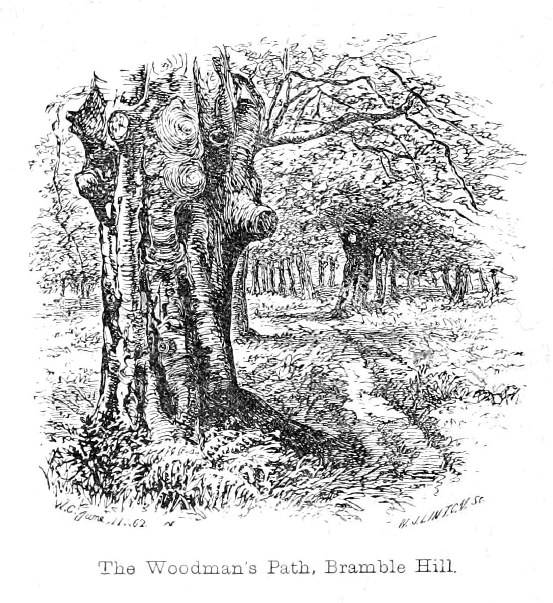 The Woodmans Path, Bramble Hill av Walter Crane