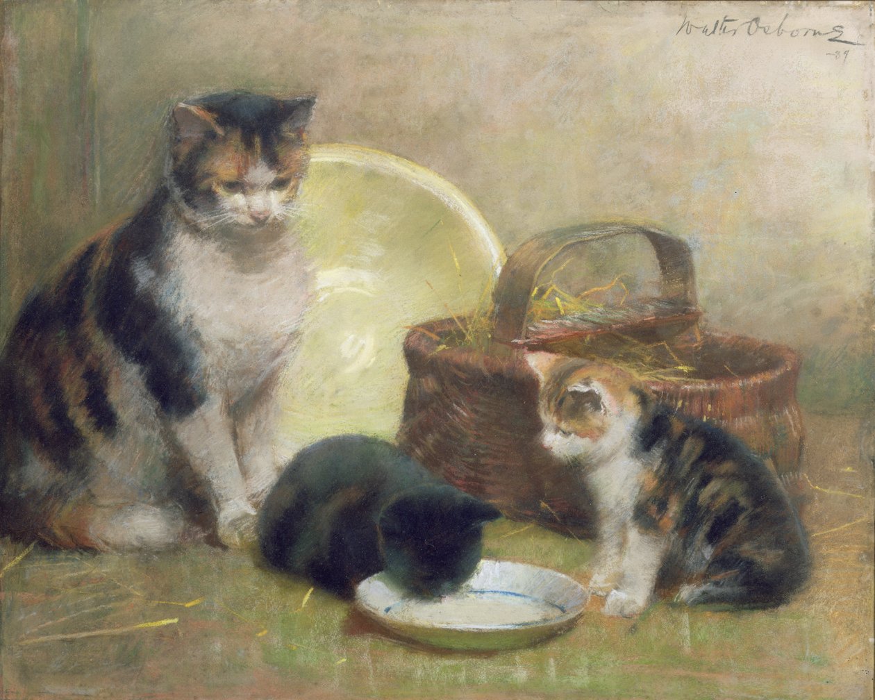 Katt og kattunger, 1889 (pastell) av Walter Frederick Osborne