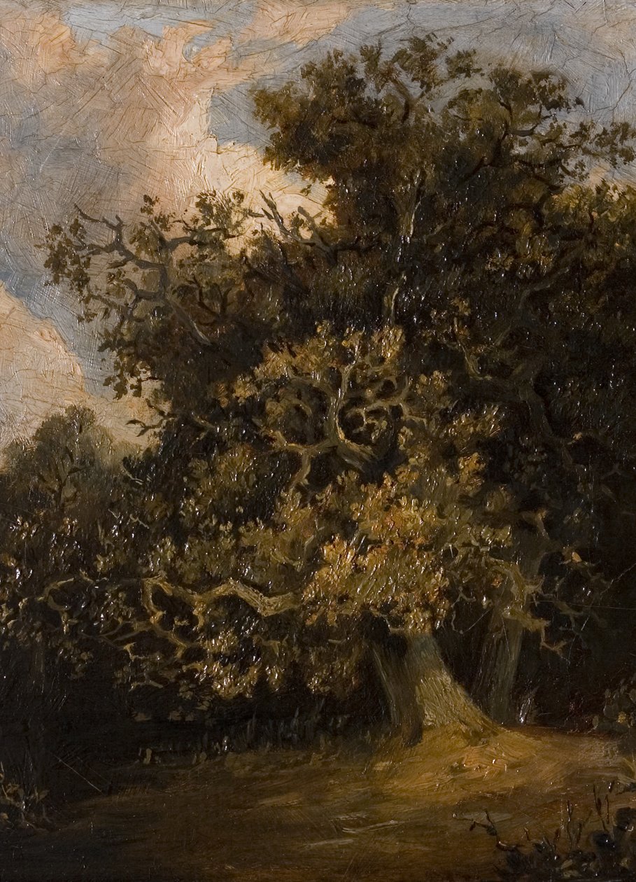 Eiketre av Walter Scott